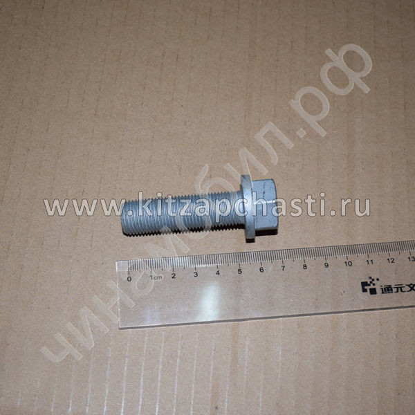 Болт шкива коленвала Chery Tiggo 7 Pro F3J12-1005031